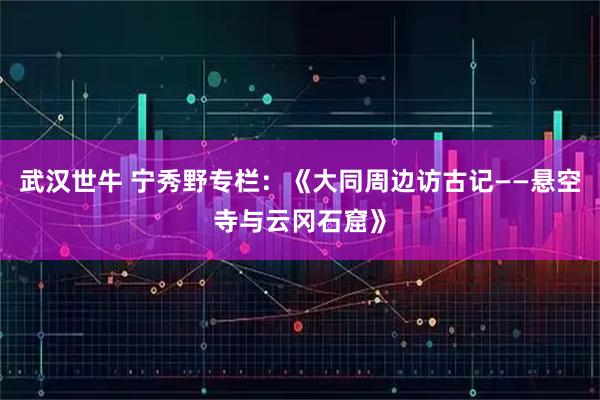 武汉世牛 宁秀野专栏：《大同周边访古记——悬空寺与云冈石窟》